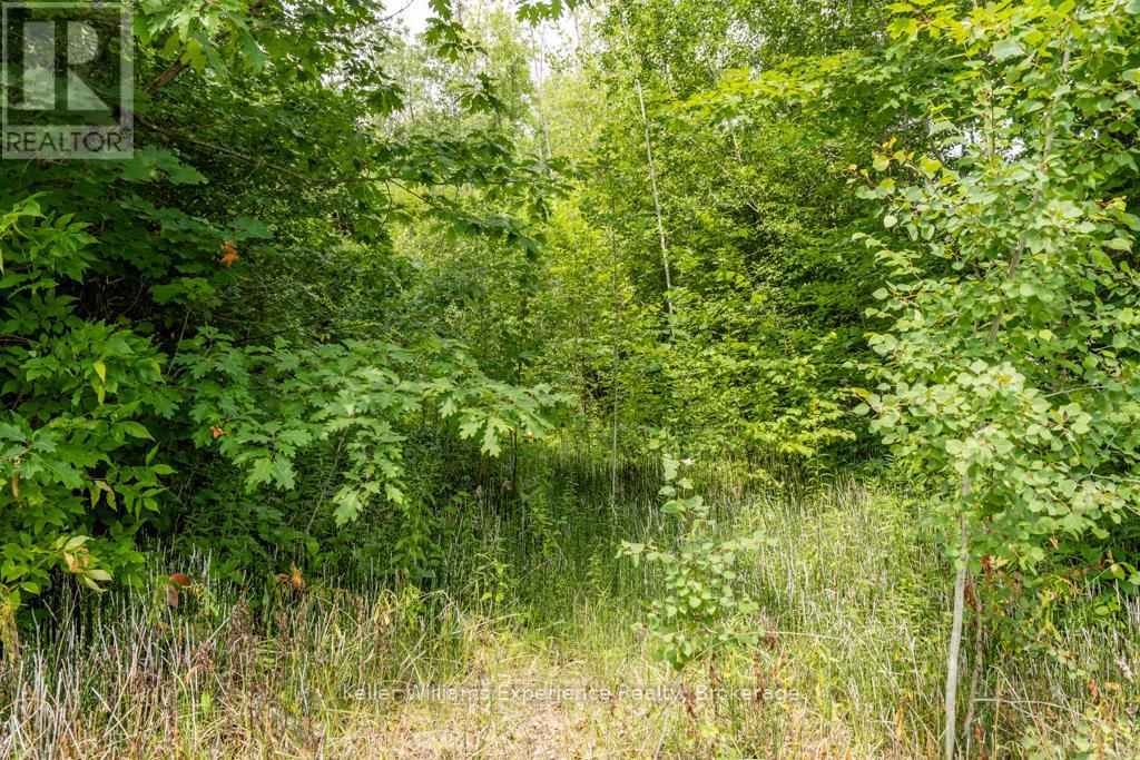 264 Peek-A-Boo Trail, Tiny, Ontario  L9M 0B3 - Photo 8 - S12460511