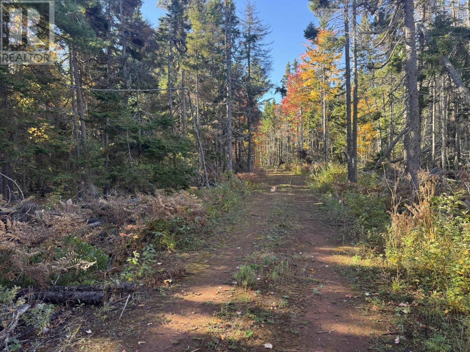 0 Mill Road, North Enmore, Prince Edward Island  C0B 1J0 - Photo 16 - 202525737