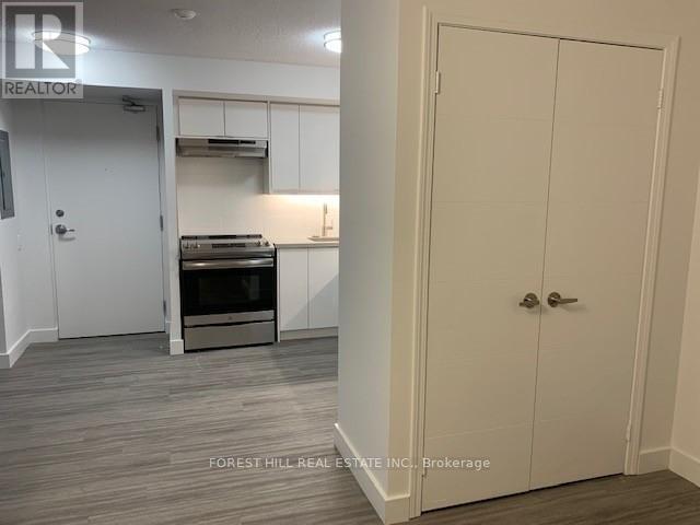 601 - 50 Portland Street, Toronto, Ontario  M5V 2M7 - Photo 9 - C12460412