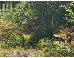 931 RIVER ROAD E, Wasaga Beach, Ontario