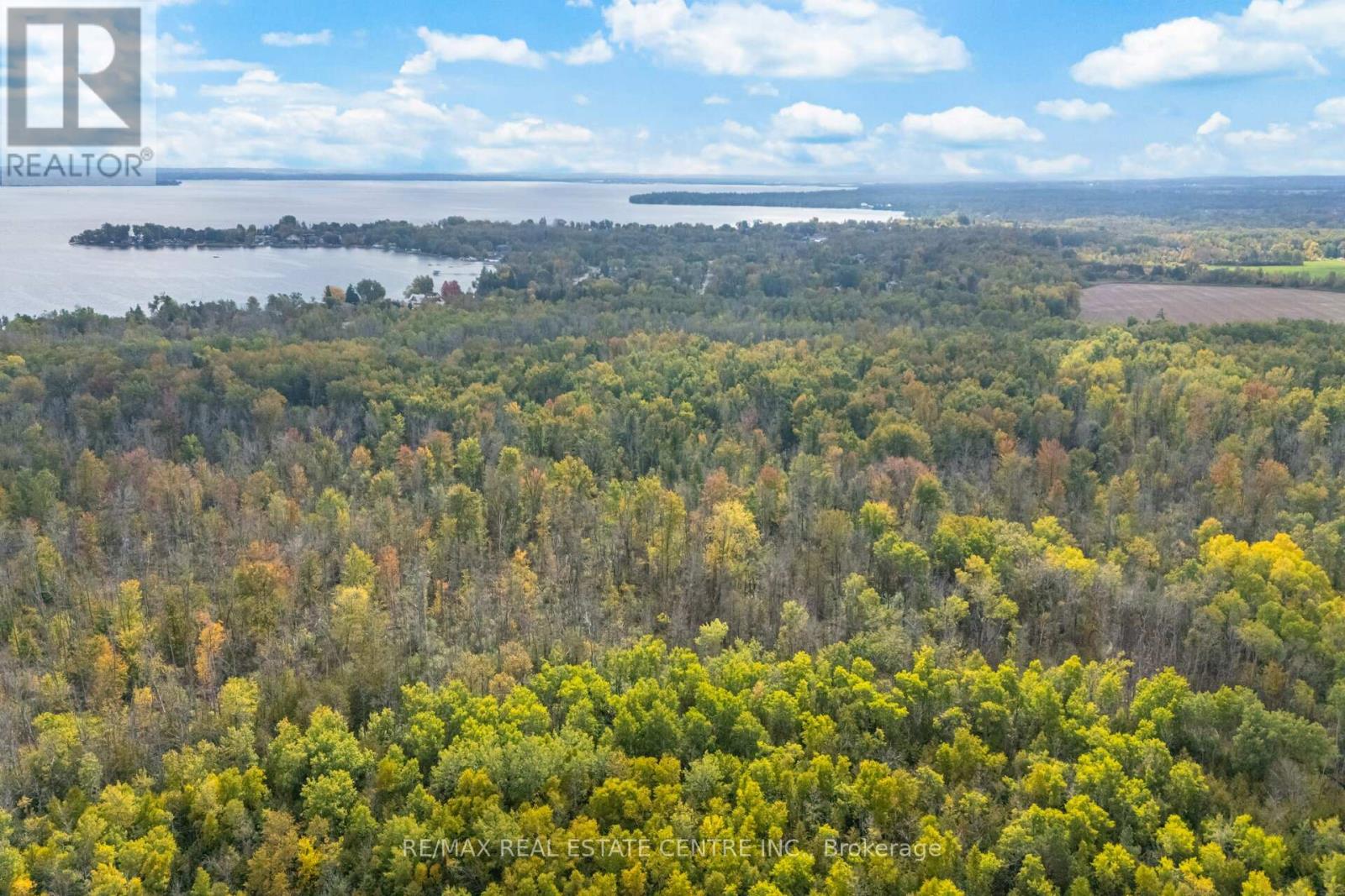 1438 Mcroberts Crescent, Innisfil, Ontario  L9S 0J9 - Photo 46 - N12460361