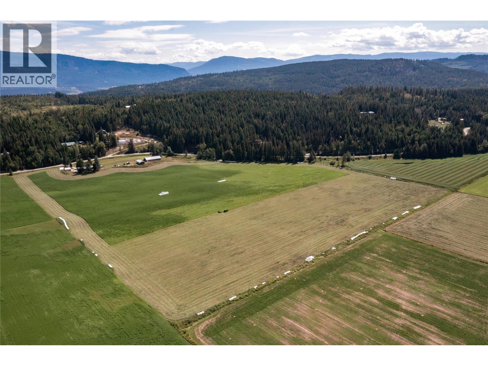 414 Mallory Road, Enderby, British Columbia  V4Y 4H9 - Photo 28 - 10359060