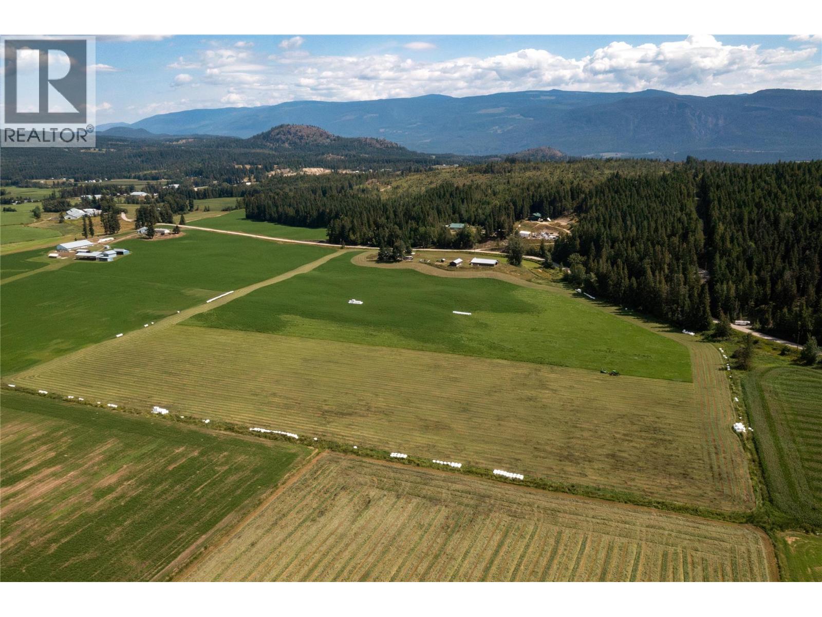 414 Mallory Road, Enderby, British Columbia  V4Y 4H9 - Photo 29 - 10359060