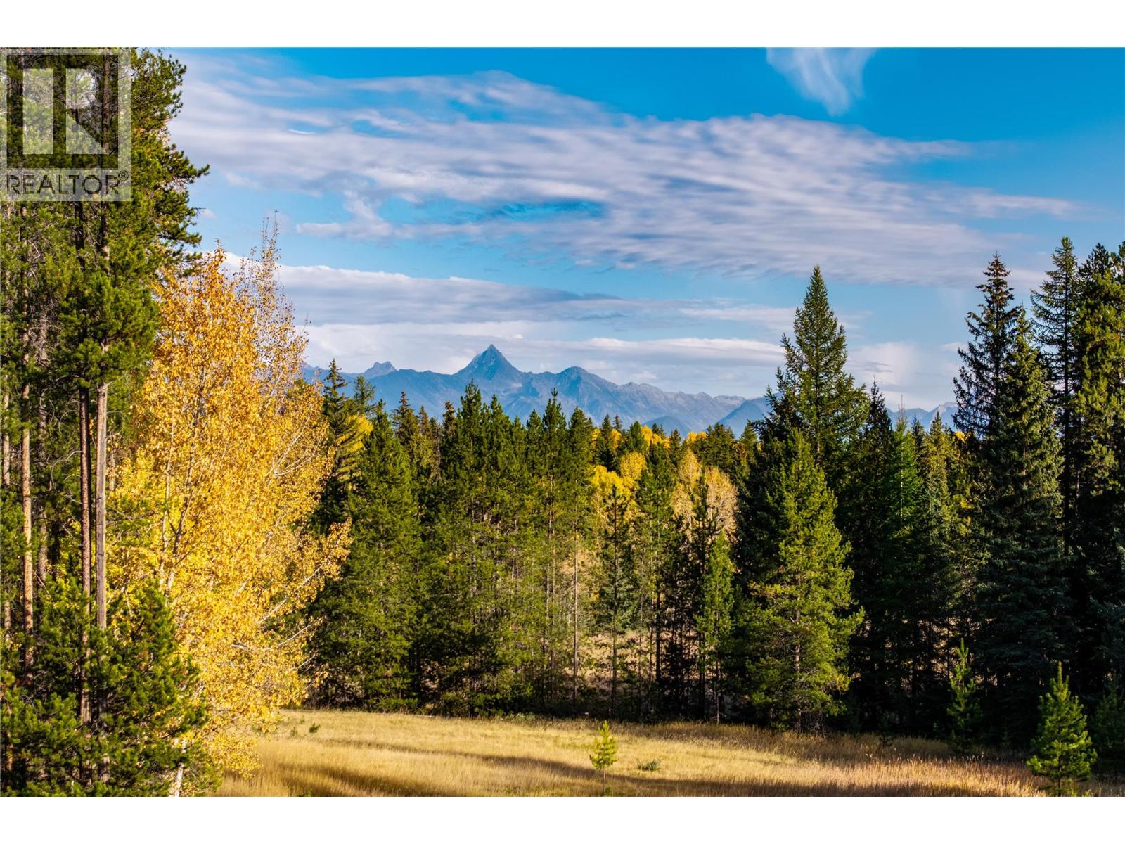 7882 Thompson Rd Road, Kimberley, British Columbia  V1A 3L7 - Photo 53 - 10365738