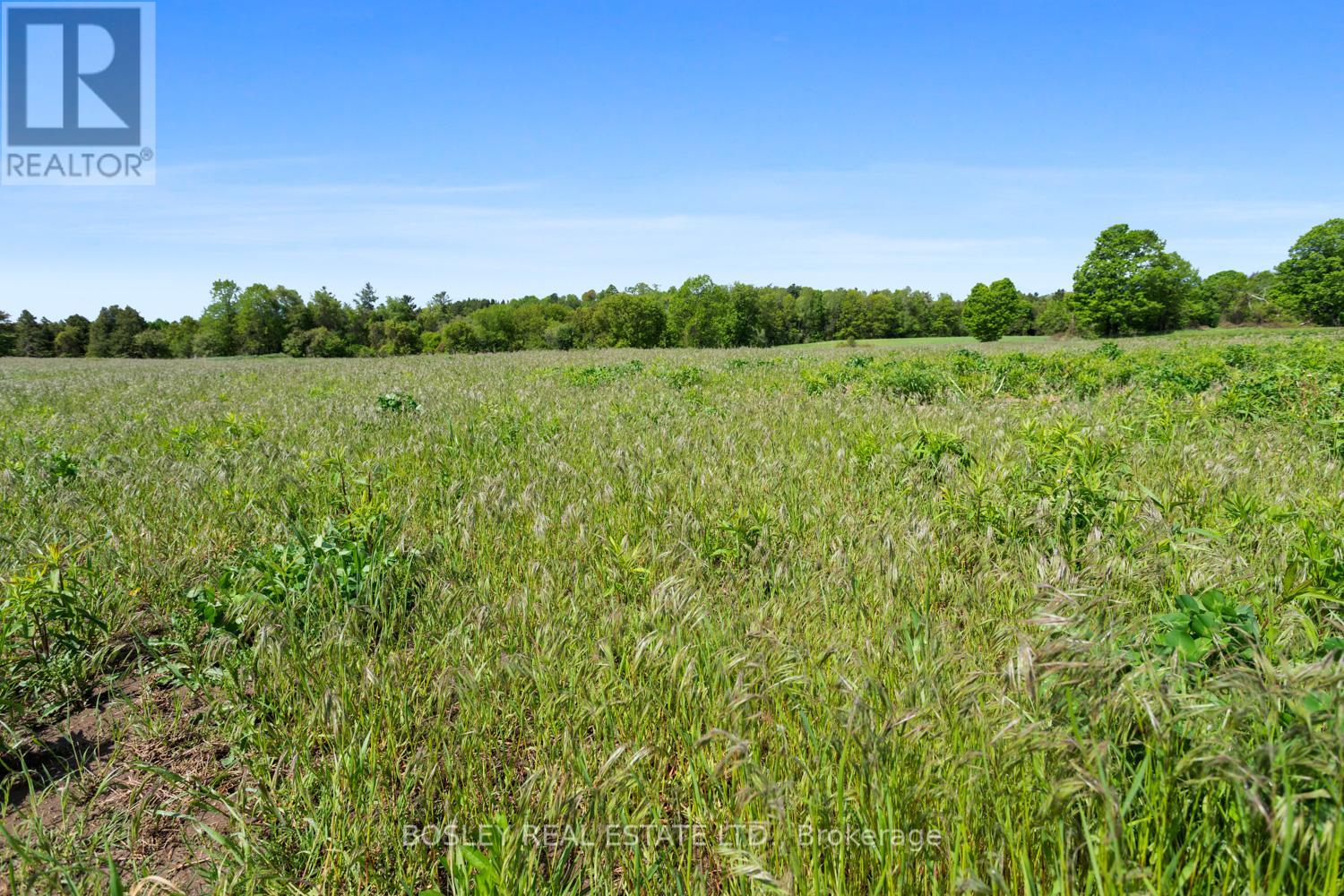 00 Kennedy Road, Hamilton Township, Ontario  K9A 4J7 - Photo 20 - X12460594