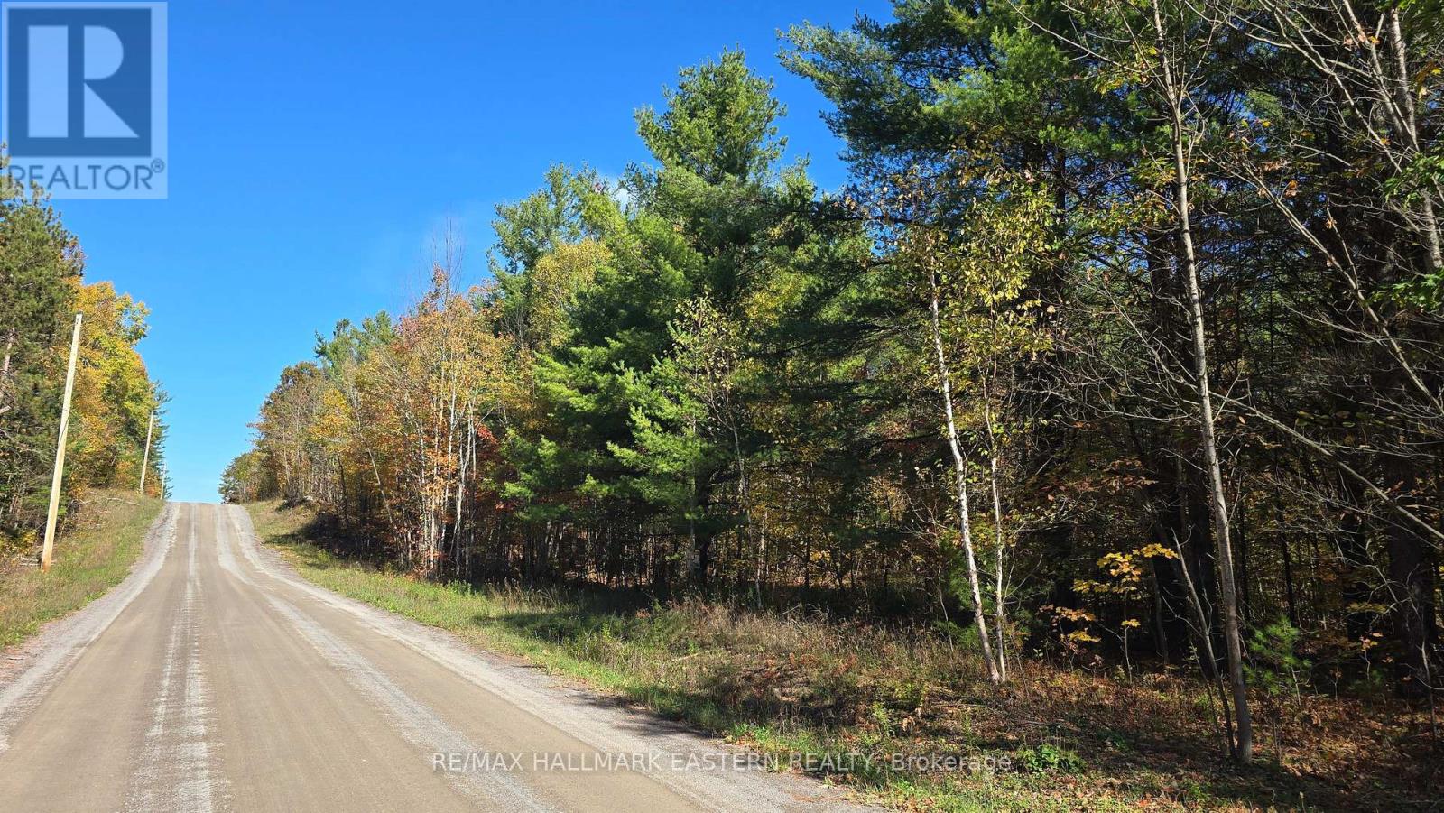 N/a Evegroen Road, Trent Hills, Ontario  K0K 2M0 - Photo 2 - X12460661