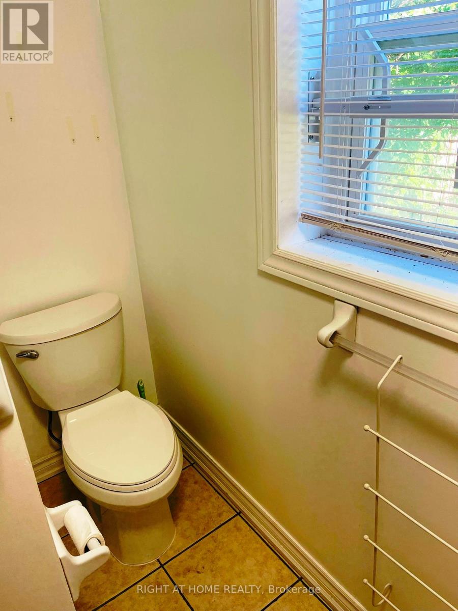 Basement - 54 Medley Crescent, Toronto, Ontario  M1J 1Y3 - Photo 13 - E12460515