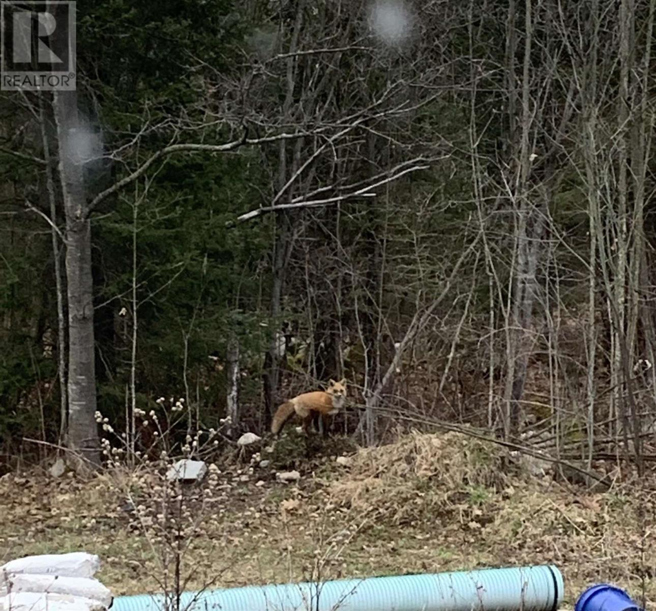 2521 U Line Rd, Hilton Beach, Ontario  P0R 1G0 - Photo 17 - SM250998