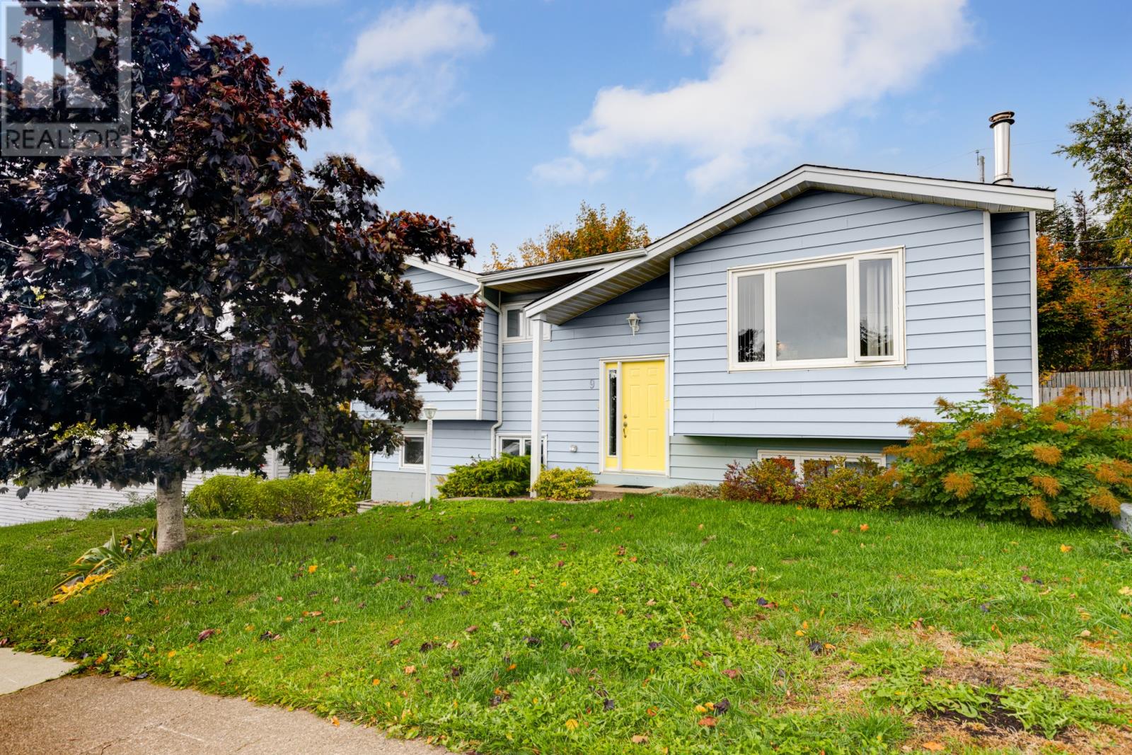 9 Tamarack Street, St. John's, Newfoundland & Labrador  A1A 4S5 - Photo 1 - 1291528