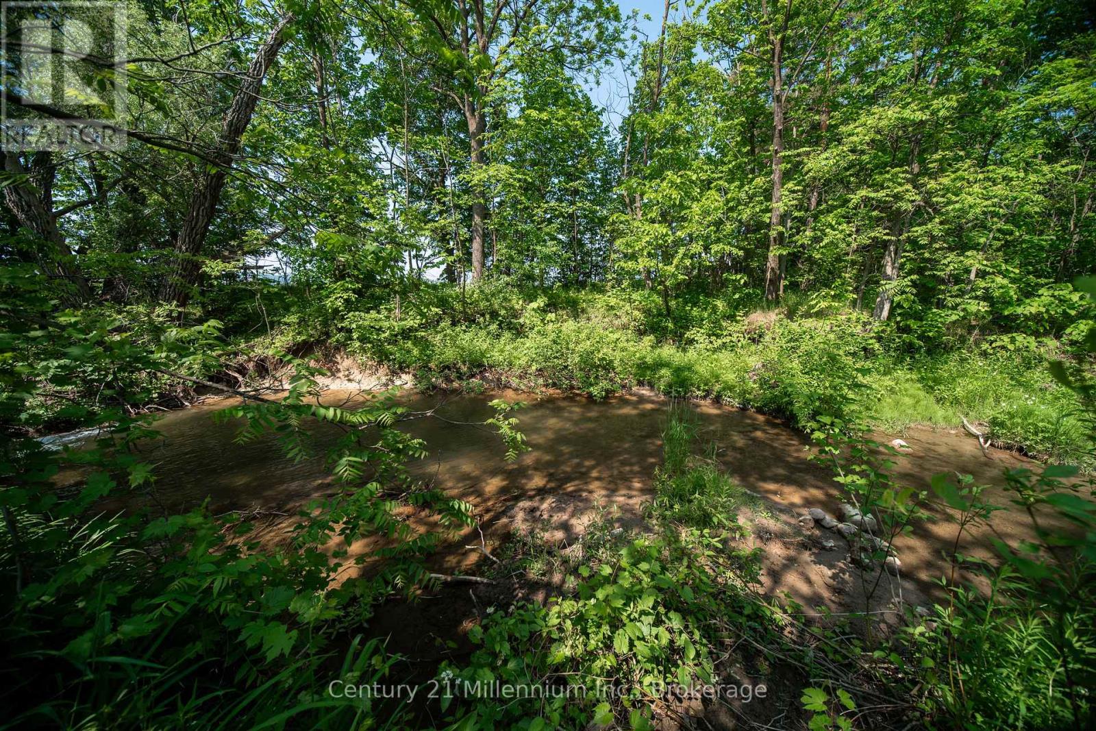 3926 County Road 124 Road, Clearview, Ontario  L0M 1P0 - Photo 23 - S12237174