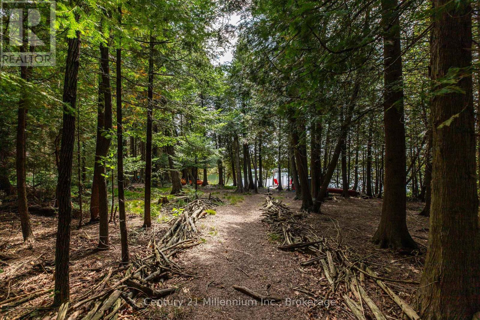 184 Lakewood Lane, Grey Highlands, Ontario  N0C 1H0 - Photo 18 - X12410844