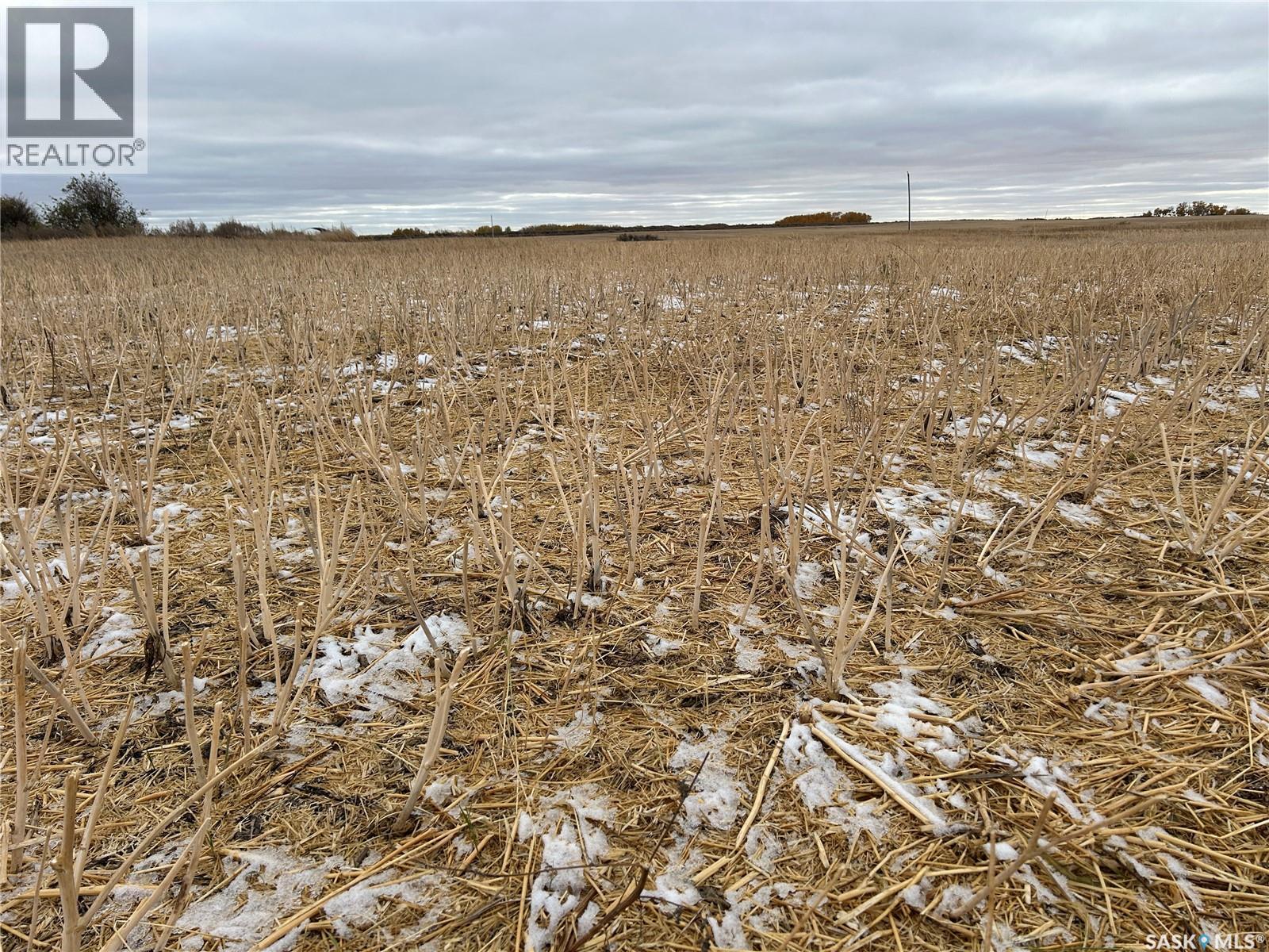 74 Acre Acreage Site Rm Of Corman Park, Corman Park Rm No. 344, Saskatchewan  S7K 5W1 - Photo 25 - SK020697