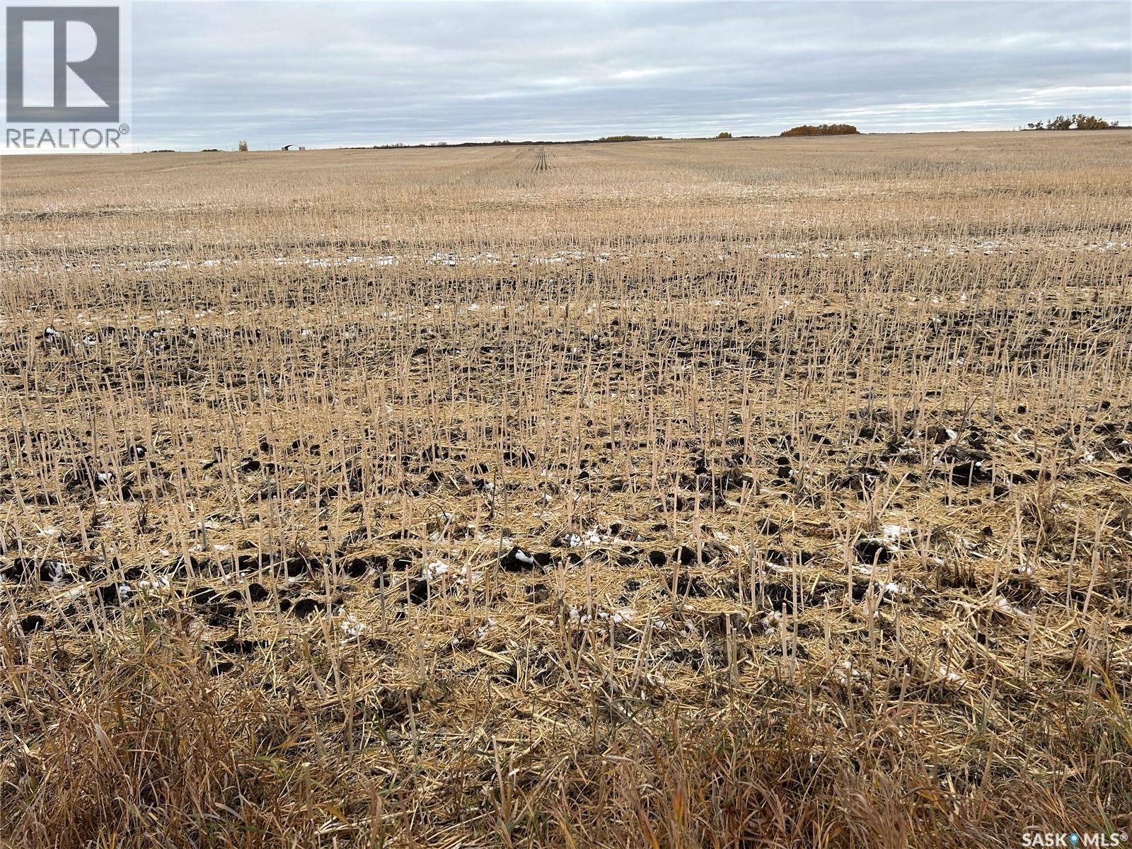 74 Acre Acreage Site Rm Of Corman Park, Corman Park Rm No. 344, Saskatchewan  S7K 5W1 - Photo 21 - SK020697