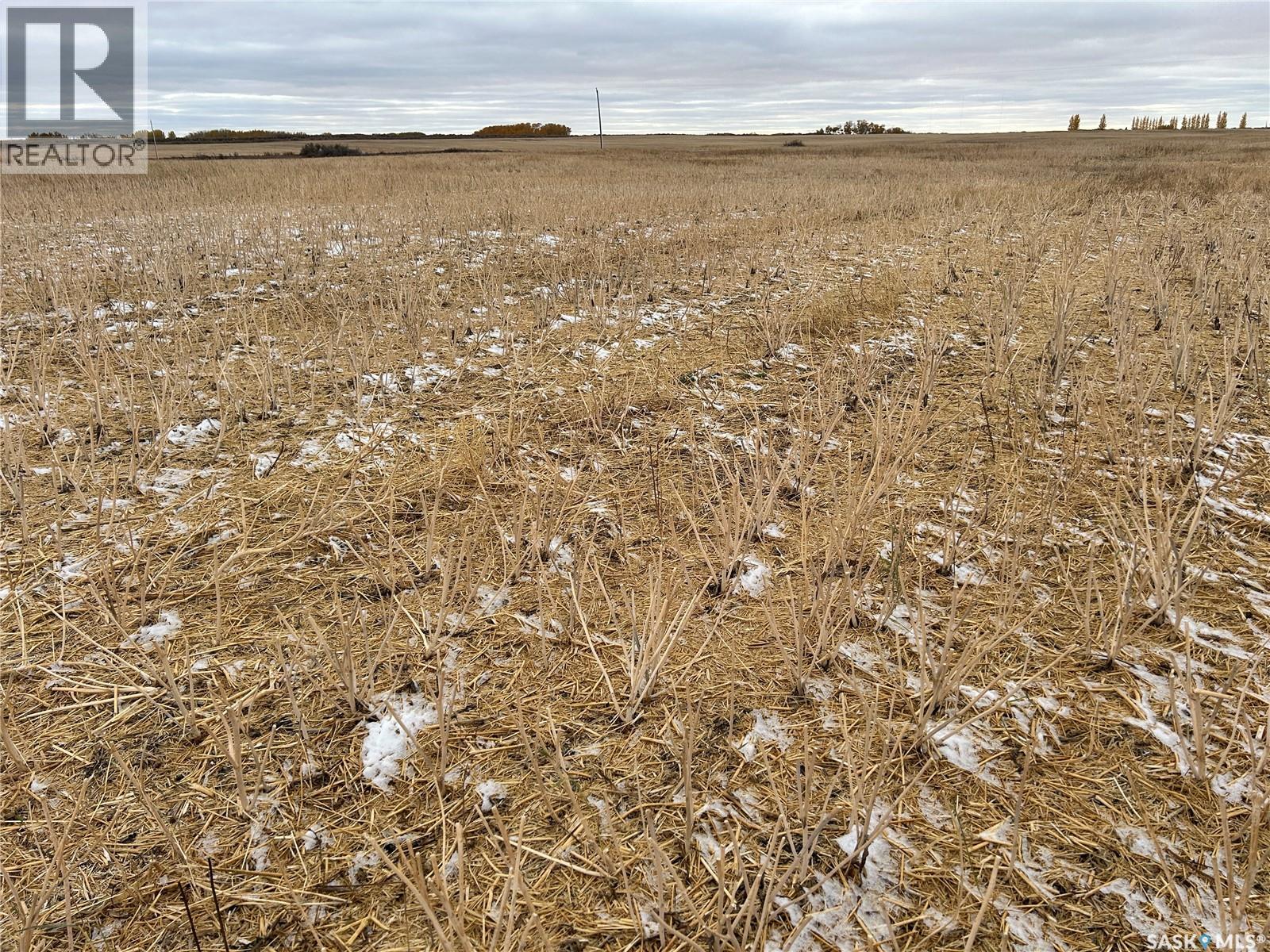 74 Acre Acreage Site Rm Of Corman Park, Corman Park Rm No. 344, Saskatchewan  S7K 5W1 - Photo 24 - SK020697