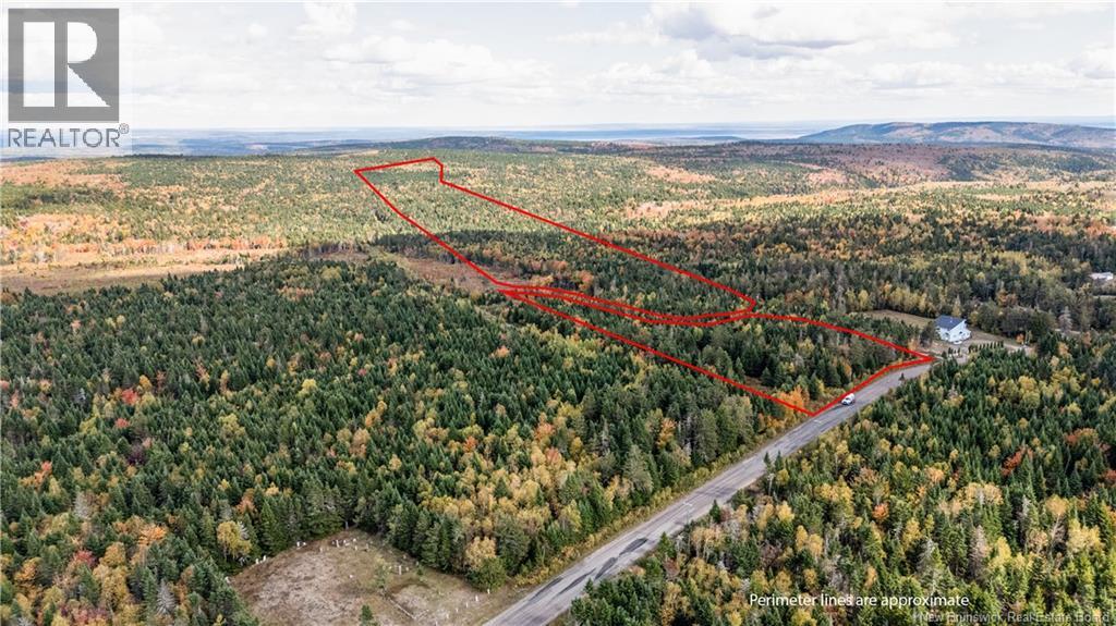000 Sawmilll Creek Road, Caledonia Mountain, New Brunswick  E4H 0B3 - Photo 1 - NB128480