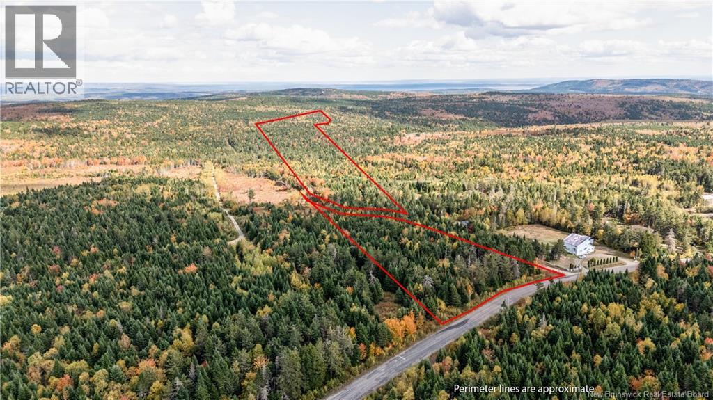 000 Sawmilll Creek Road, Caledonia Mountain, New Brunswick  E4H 0B3 - Photo 2 - NB128480