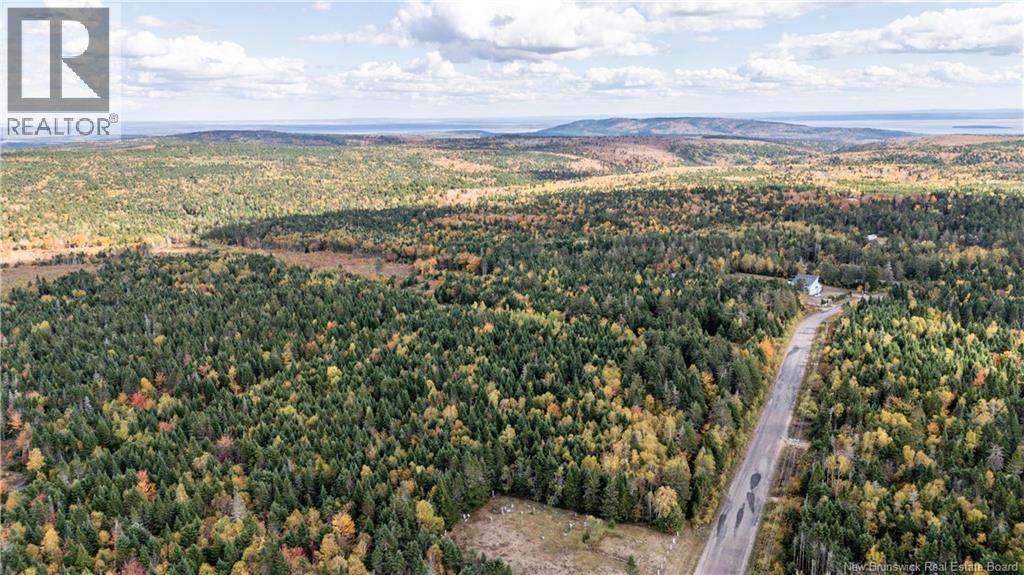 000 Sawmilll Creek Road, Caledonia Mountain, New Brunswick  E4H 0B3 - Photo 3 - NB128480