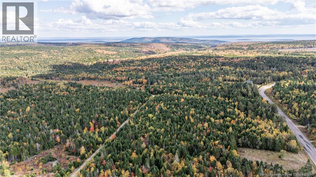 000 Sawmilll Creek Road, Caledonia Mountain, New Brunswick  E4H 0B3 - Photo 4 - NB128480