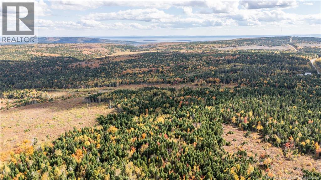 000 Sawmilll Creek Road, Caledonia Mountain, New Brunswick  E4H 0B3 - Photo 6 - NB128480