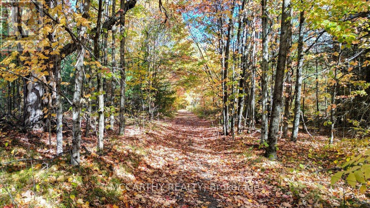 3649 County 504 Road, North Kawartha, Ontario  K0L 1A0 - Photo 38 - X12460718