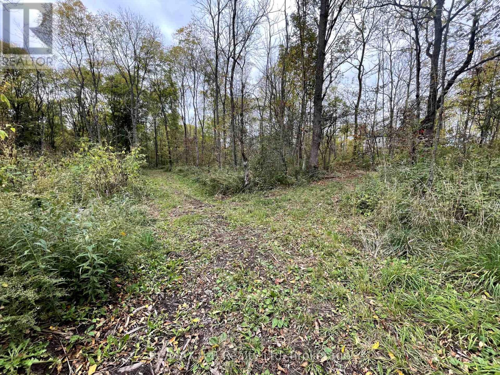 12096 Gale Road, North Middlesex, Ontario  N0M 1A0 - Photo 45 - X12451520