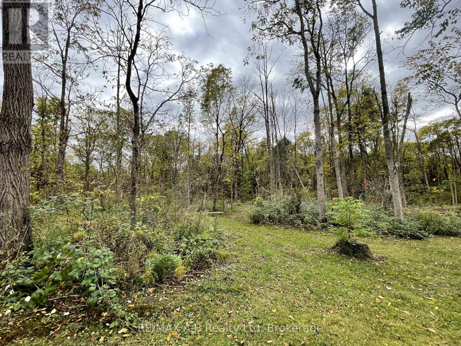 12096 Gale Road, North Middlesex, Ontario  N0M 1A0 - Photo 46 - X12451520