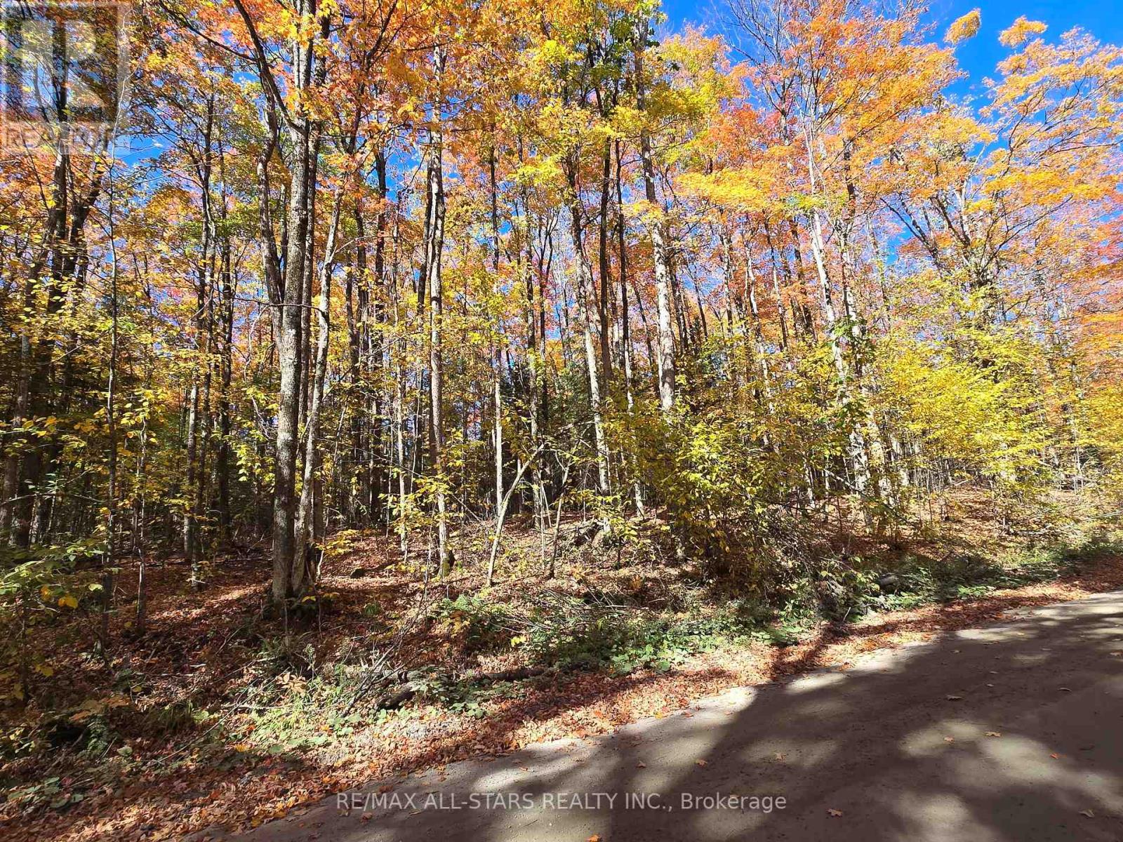 0 SALERNO LAKE ROAD, Highlands East, Ontario