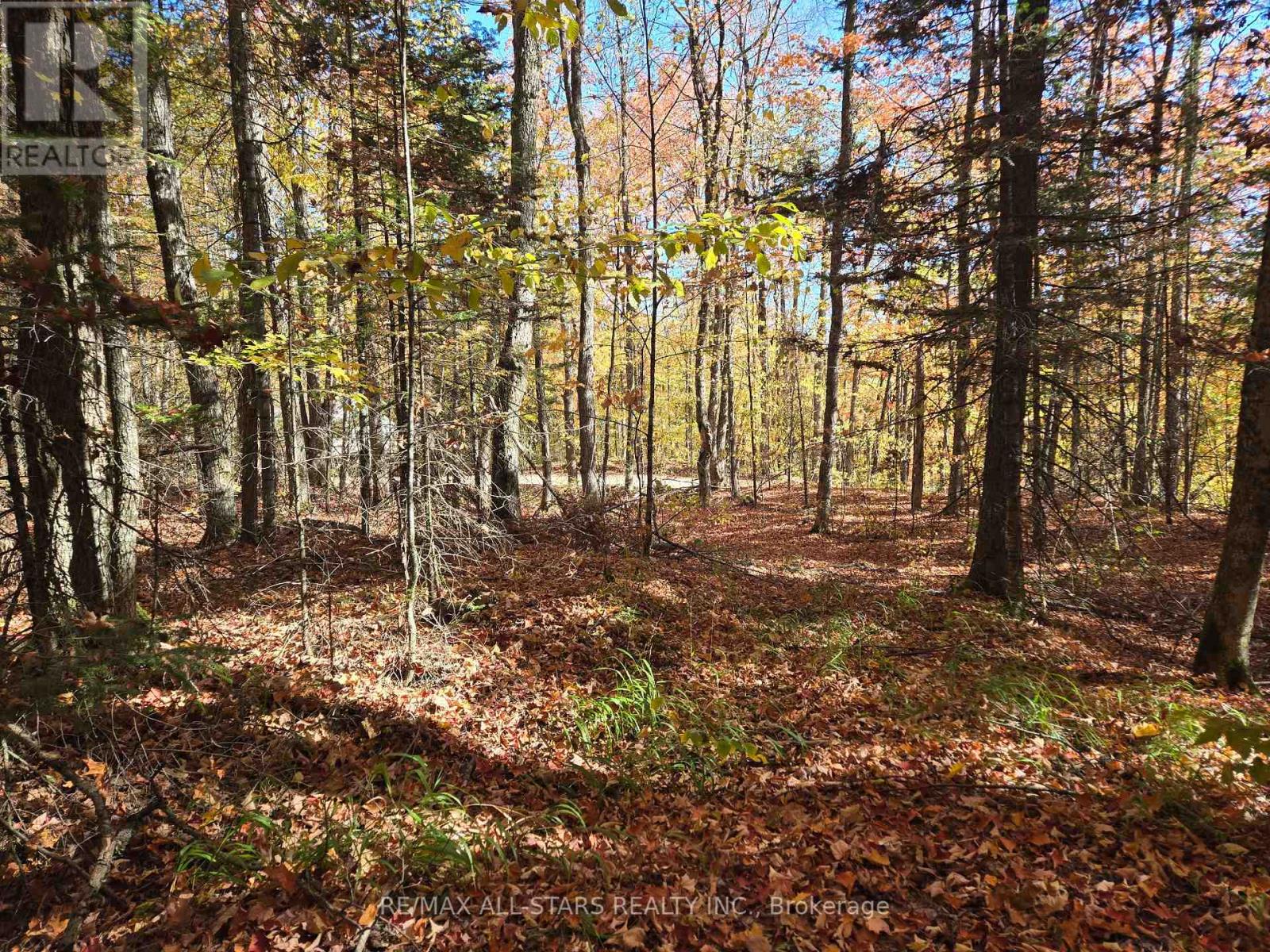 0 Salerno Lake Road, Highlands East, Ontario  K0M 1X0 - Photo 3 - X12460924