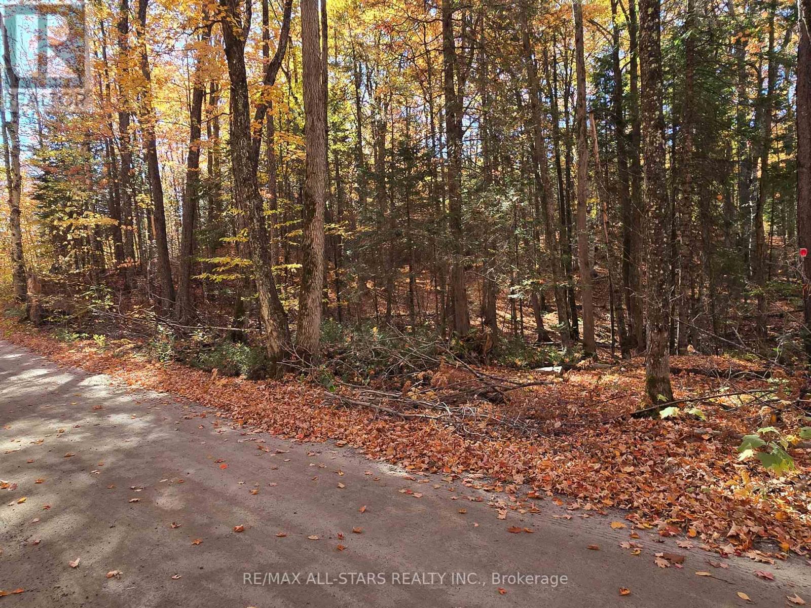 0 Salerno Lake Road, Highlands East, Ontario  K0M 1X0 - Photo 7 - X12460924