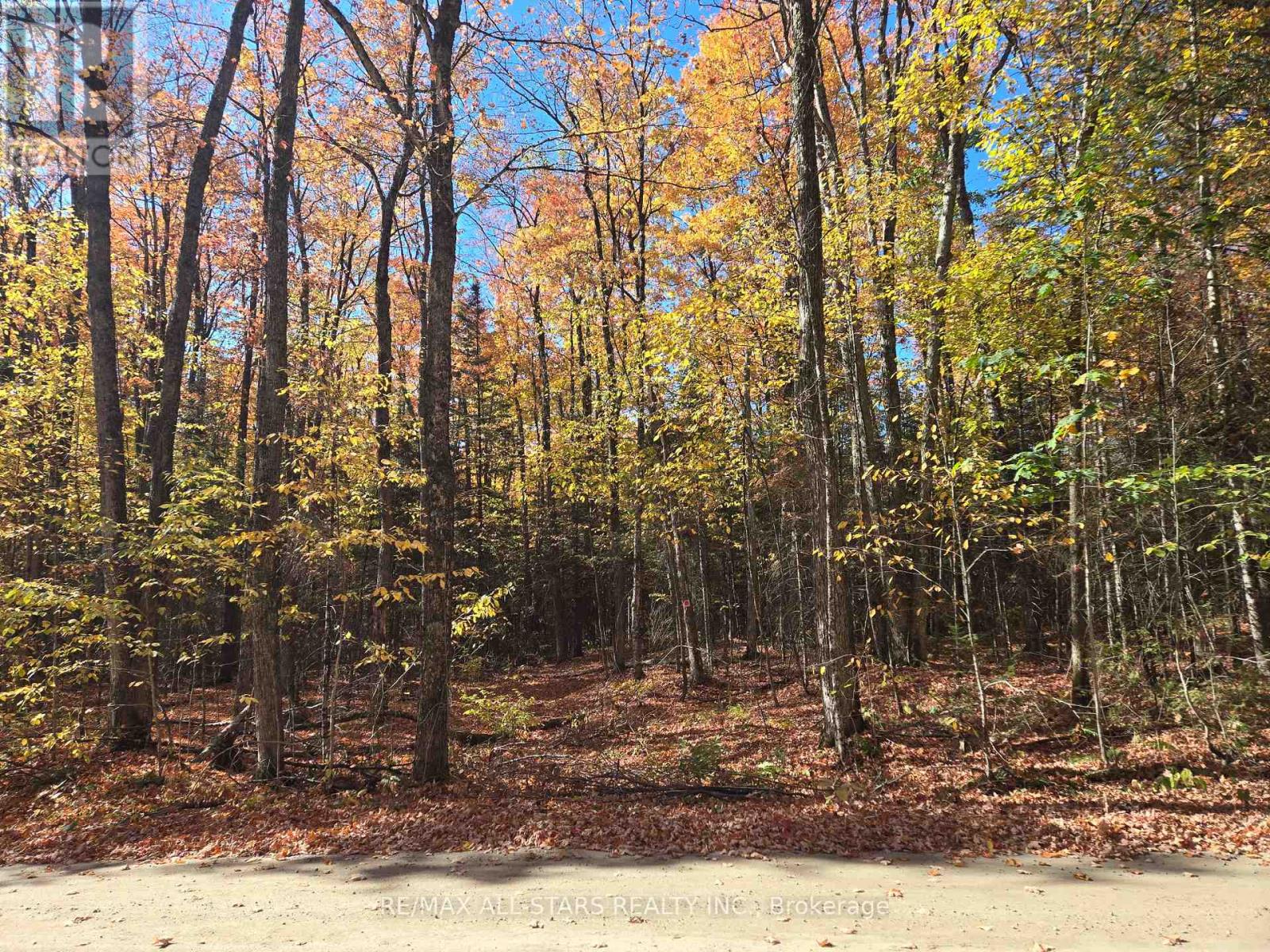 0 Salerno Lake Road, Highlands East, Ontario  K0M 1X0 - Photo 8 - X12460924