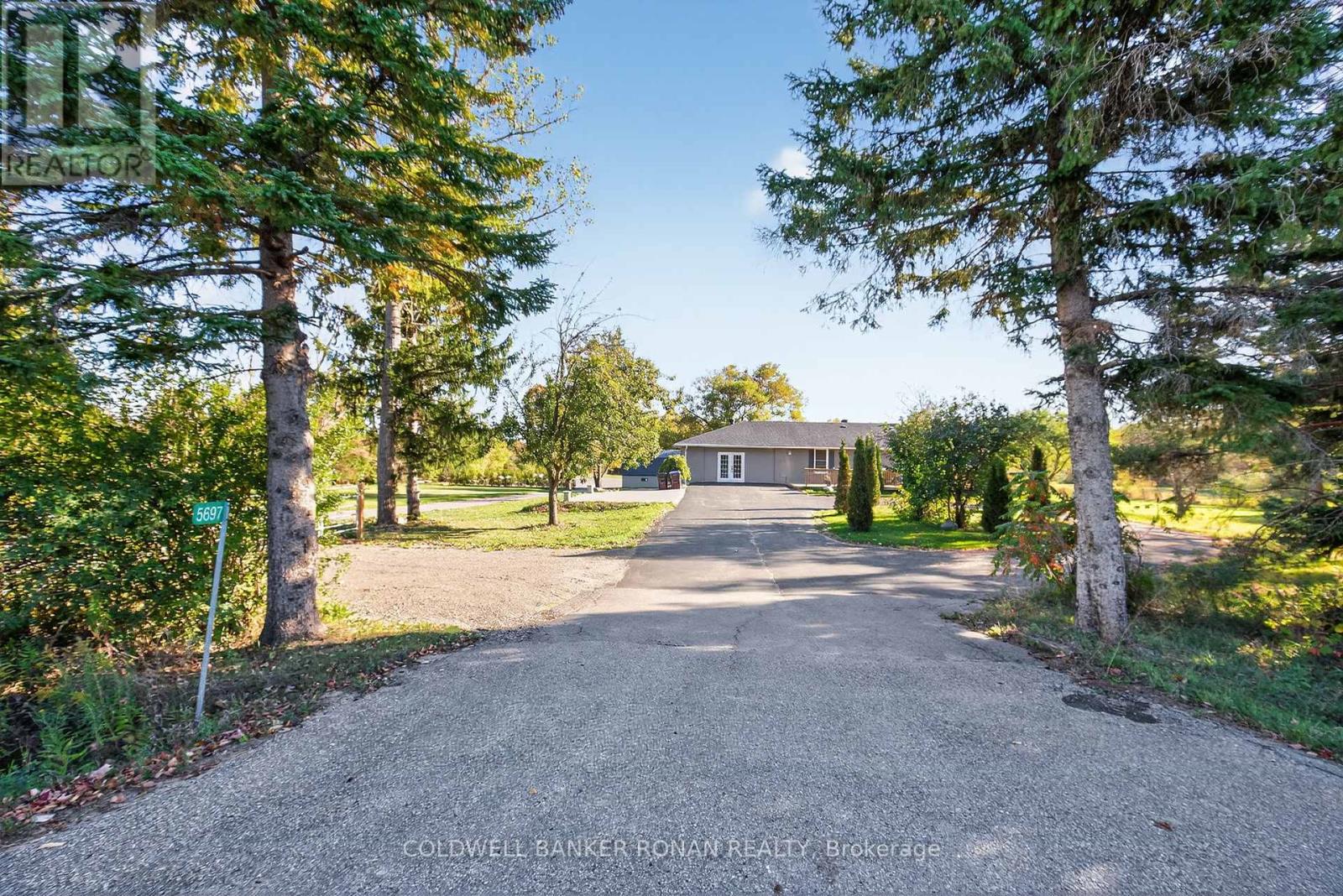 5697 2nd Line, New Tecumseth, Ontario  L0G 1T0 - Photo 2 - N12460794