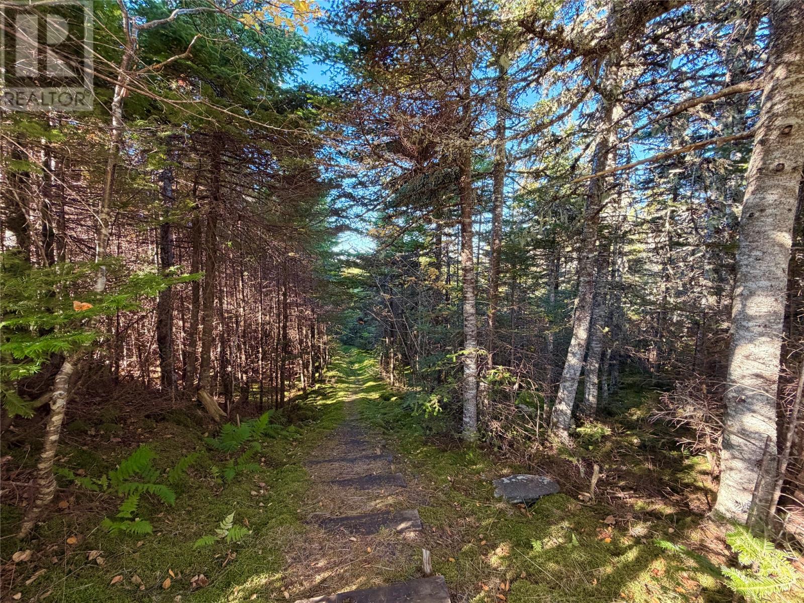63-79 Hughs Pond Road, Portugal Cove-St. Philips, Newfoundland & Labrador  A1M 2C7 - Photo 3 - 1291512
