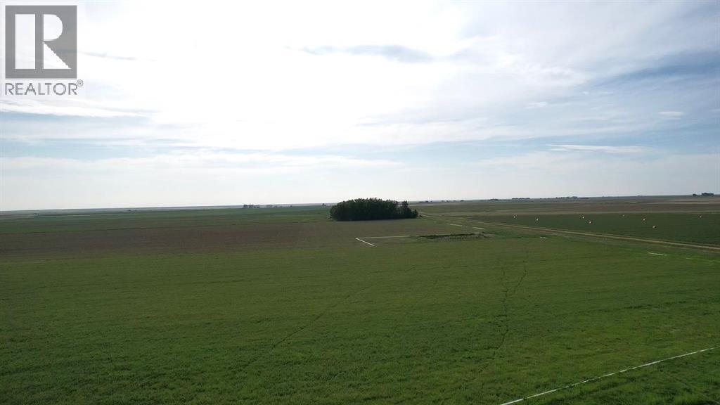 162 Hays Rd 30 N, Hays, Alberta  T0K 1B0 - Photo 6 - A2234047