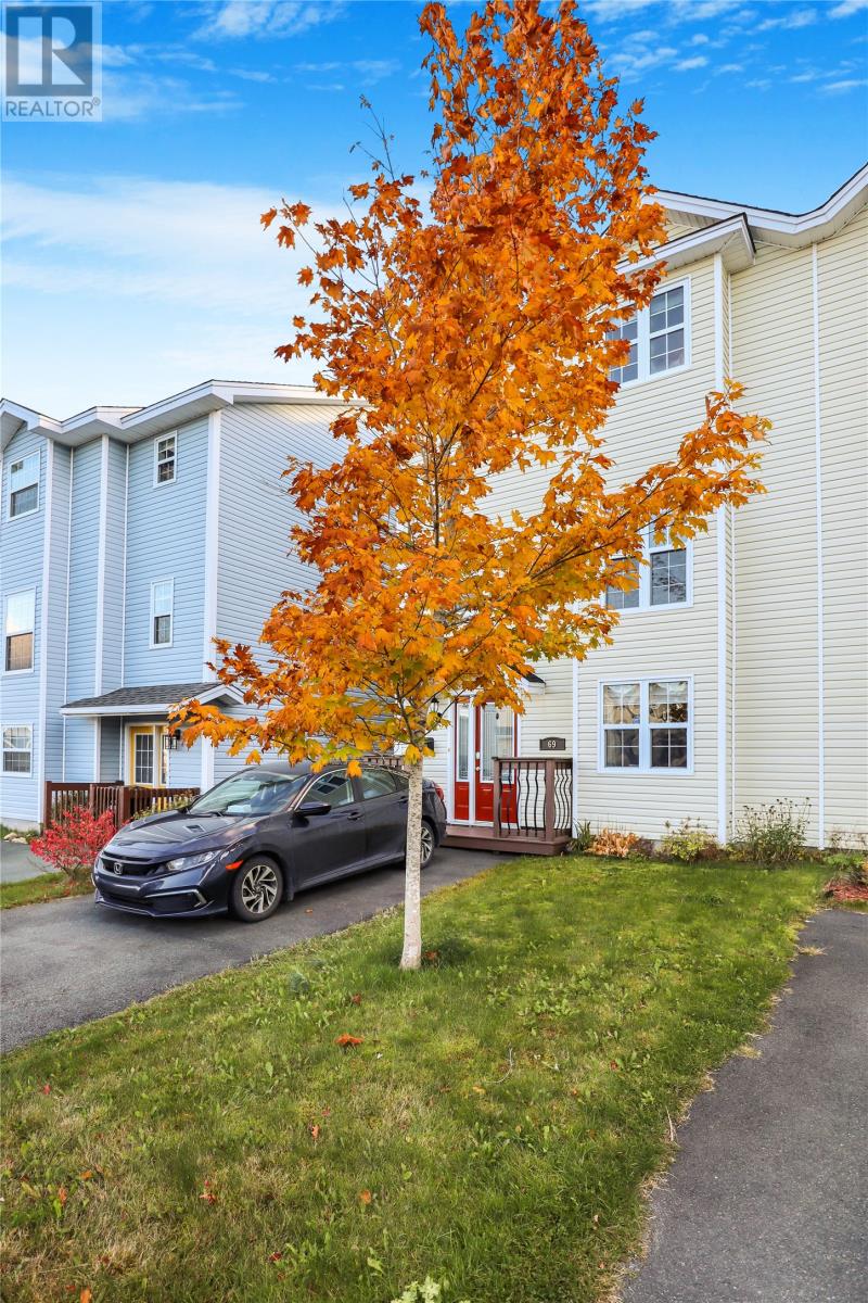 69 Beothuck Street, St. John's, Newfoundland & Labrador  A1B 3Z6 - Photo 5 - 1291501