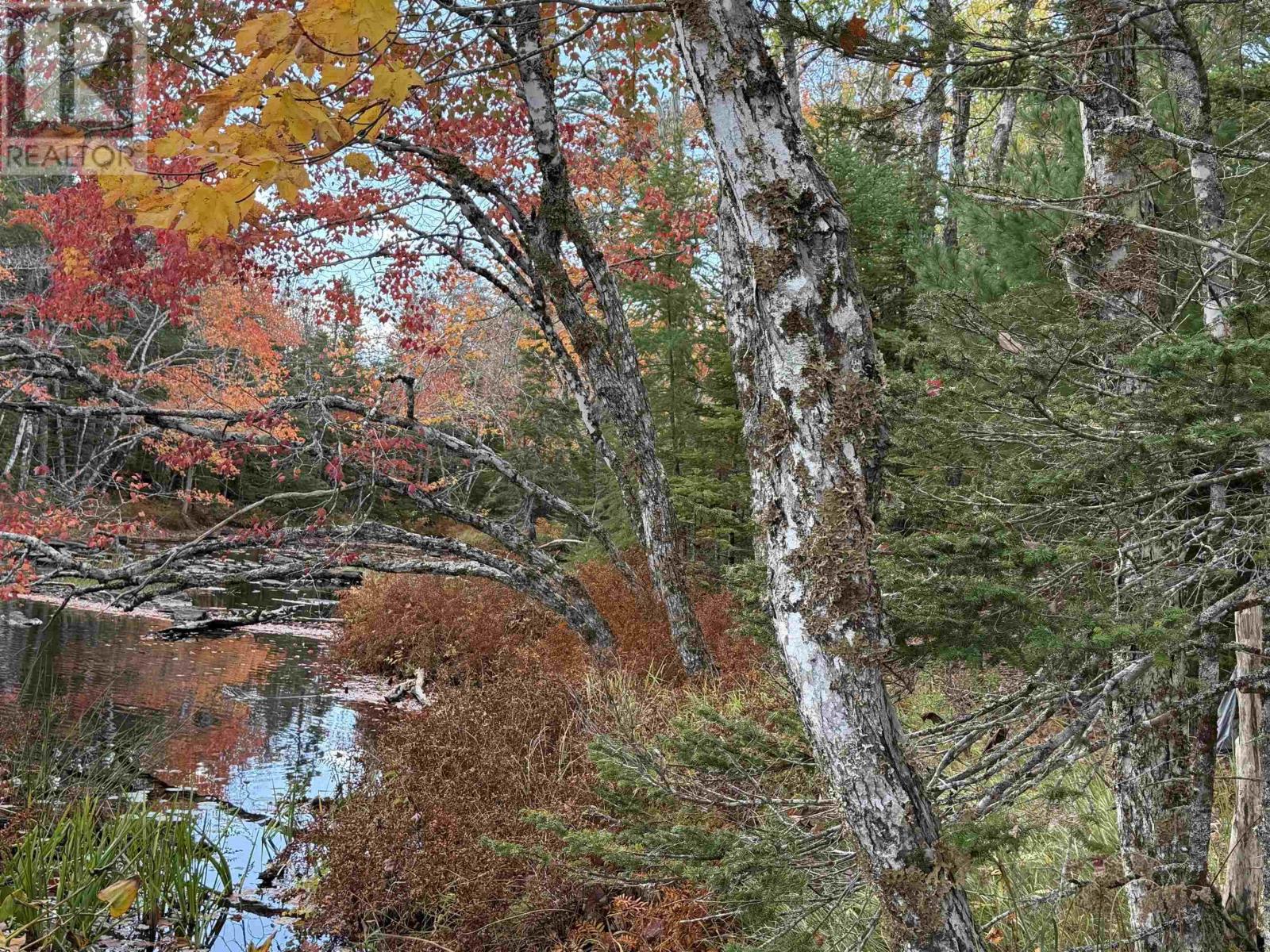 Lot 7 Old Dam Road, Eight Island Lake, Nova Scotia  B1H 1L0 - Photo 16 - 202525762