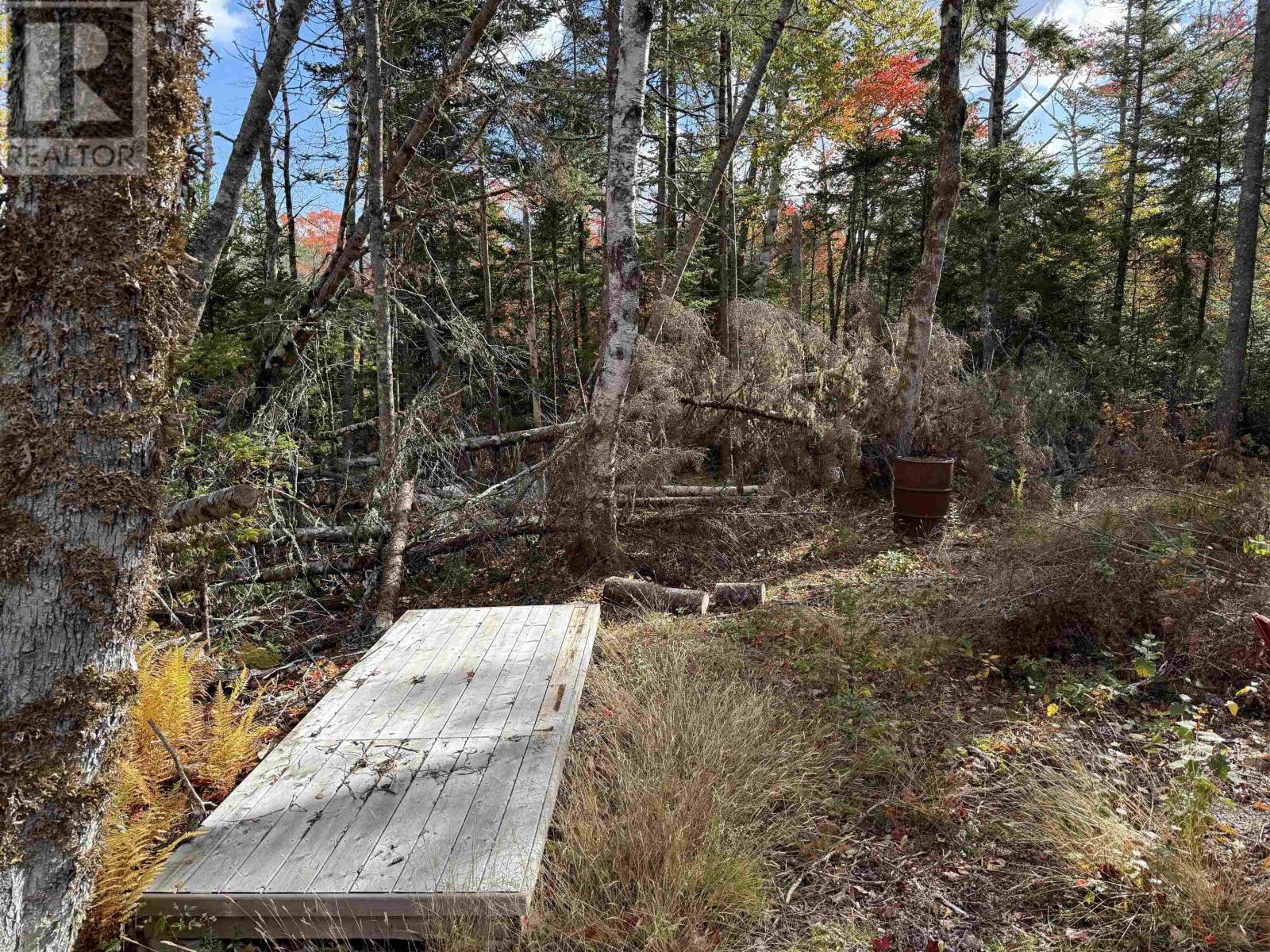 Lot 7 Old Dam Road, Eight Island Lake, Nova Scotia  B1H 1L0 - Photo 10 - 202525762