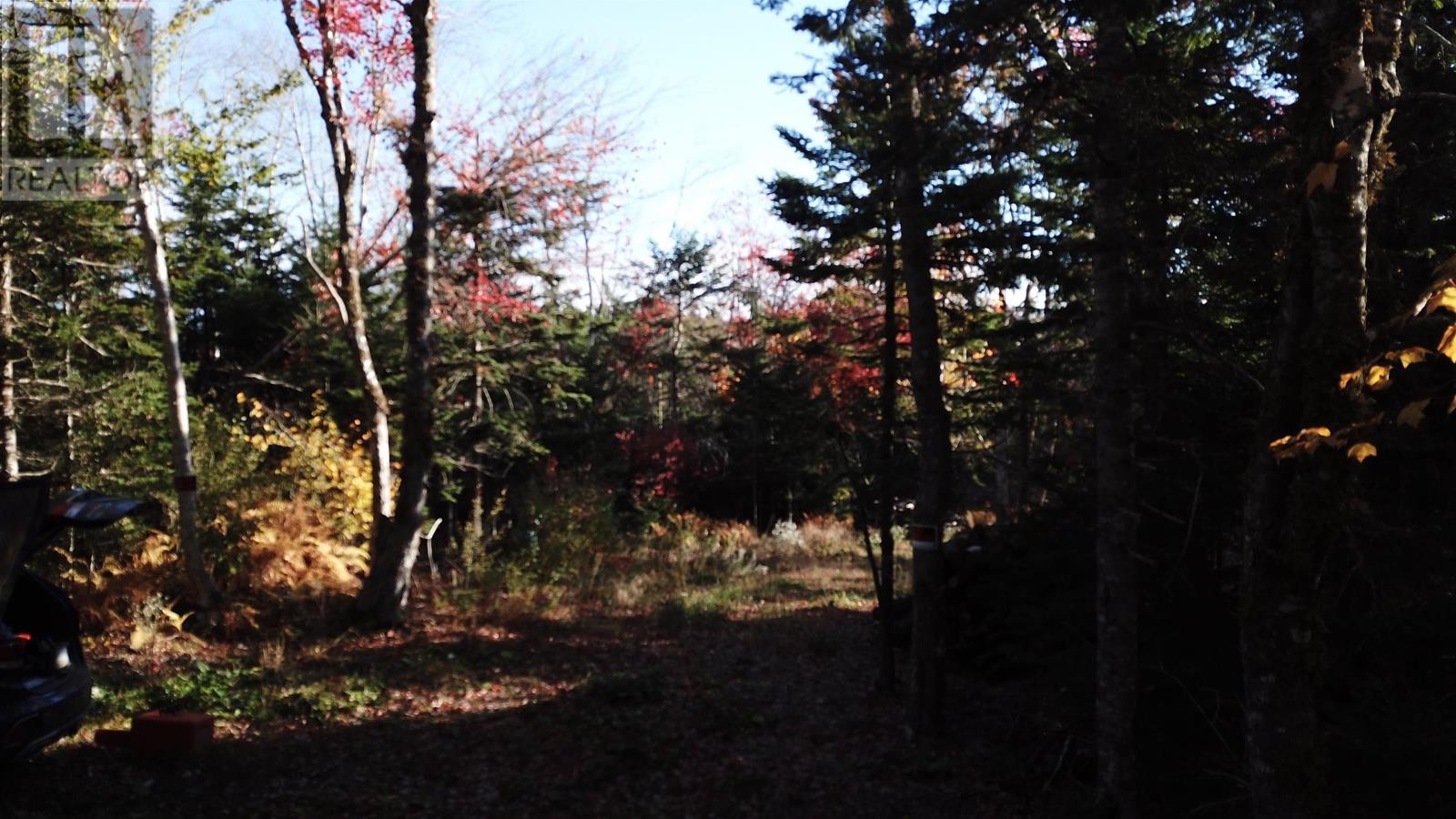 Lot 7 Old Dam Road, Eight Island Lake, Nova Scotia  B1H 1L0 - Photo 20 - 202525762