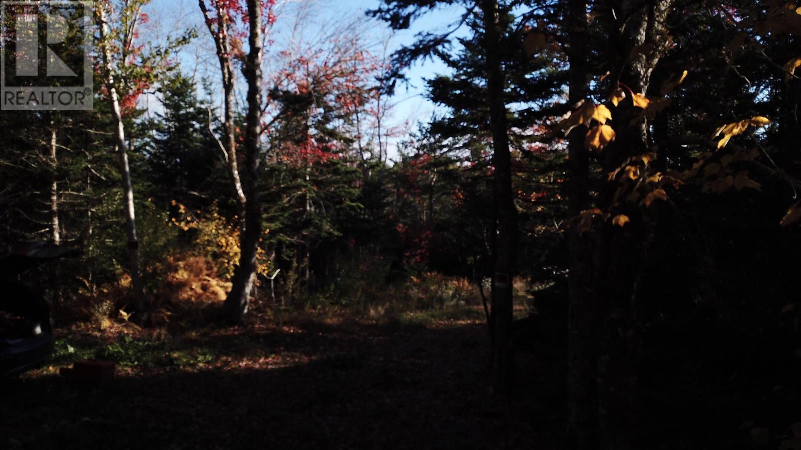 Lot 7 Old Dam Road, Eight Island Lake, Nova Scotia  B1H 1L0 - Photo 19 - 202525762