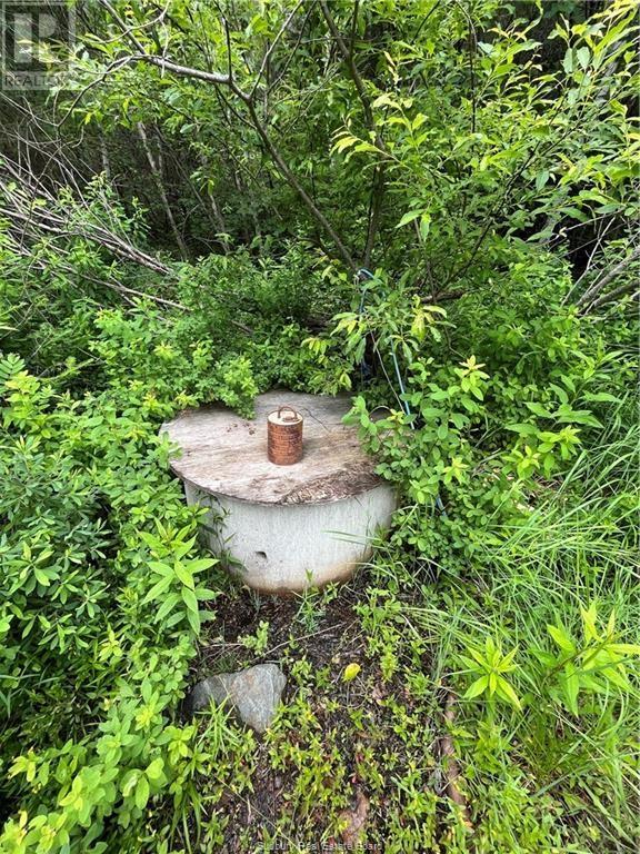 Lot 5/6 Con 6, Cartier, Ontario  P0M 1J0 - Photo 37 - 2125209