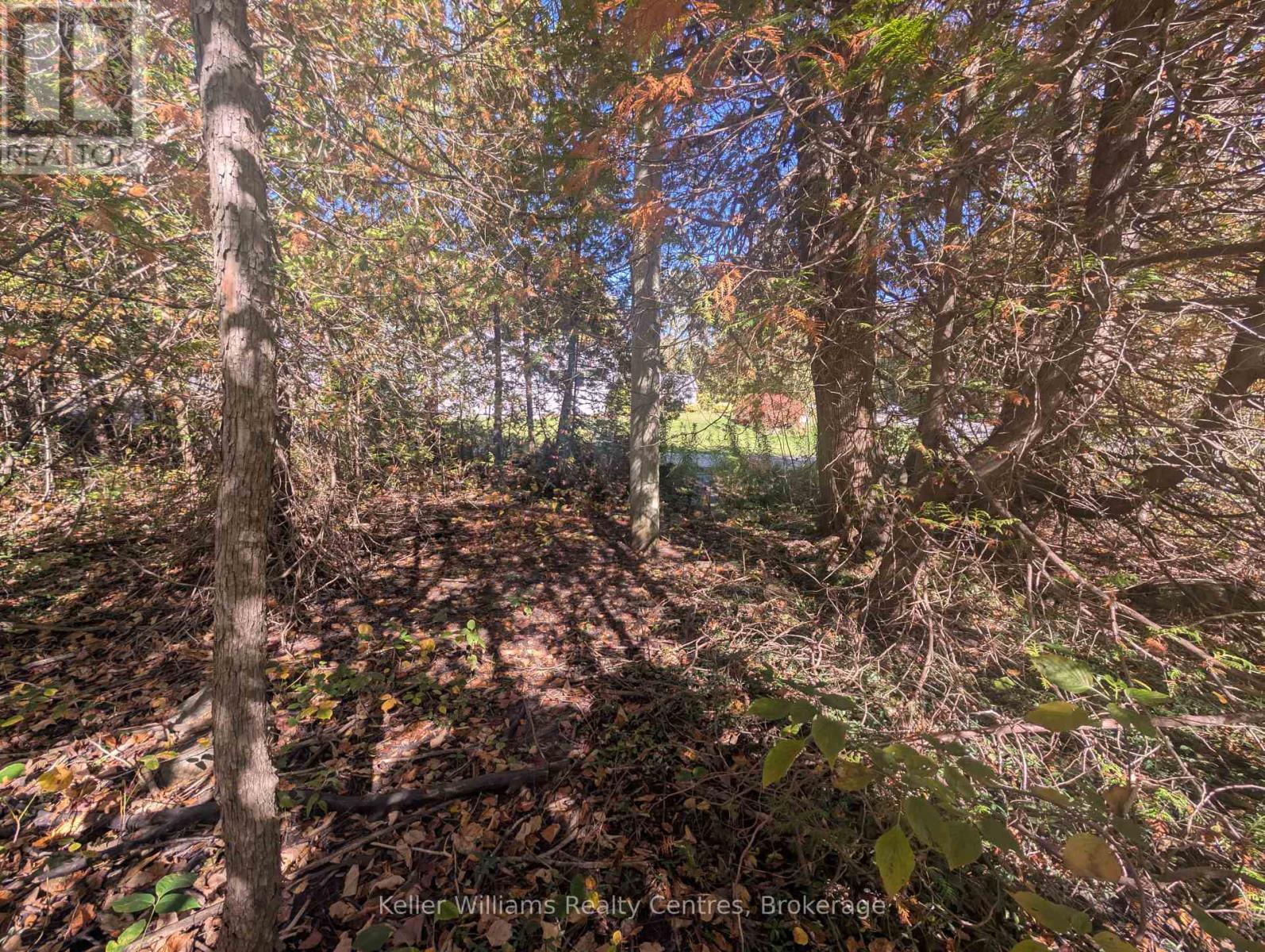 Lt 166 Mallory Beach Road, South Bruce Peninsula, Ontario  N0H 2T0 - Photo 10 - X12460985