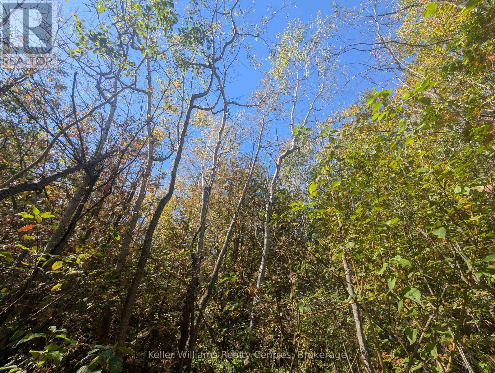 Lt 166 Mallory Beach Road, South Bruce Peninsula, Ontario  N0H 2T0 - Photo 11 - X12460985