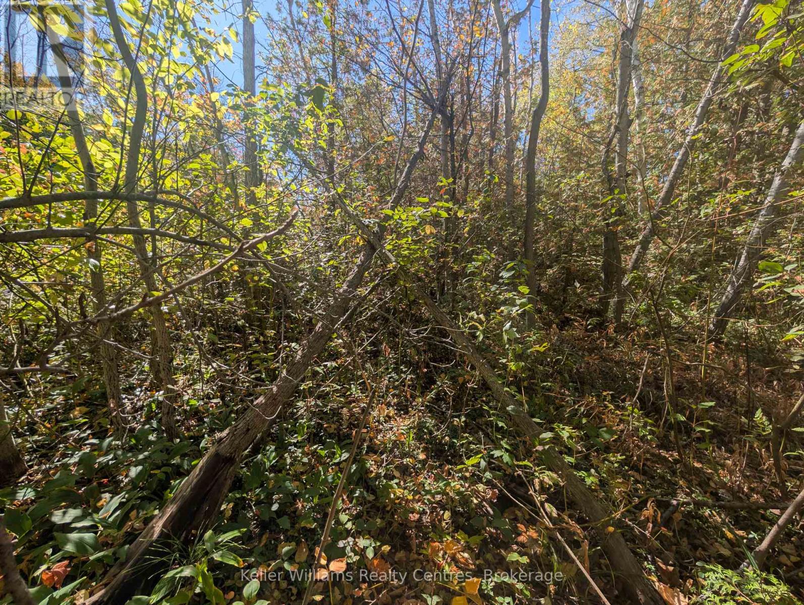 Lt 166 Mallory Beach Road, South Bruce Peninsula, Ontario  N0H 2T0 - Photo 13 - X12460985