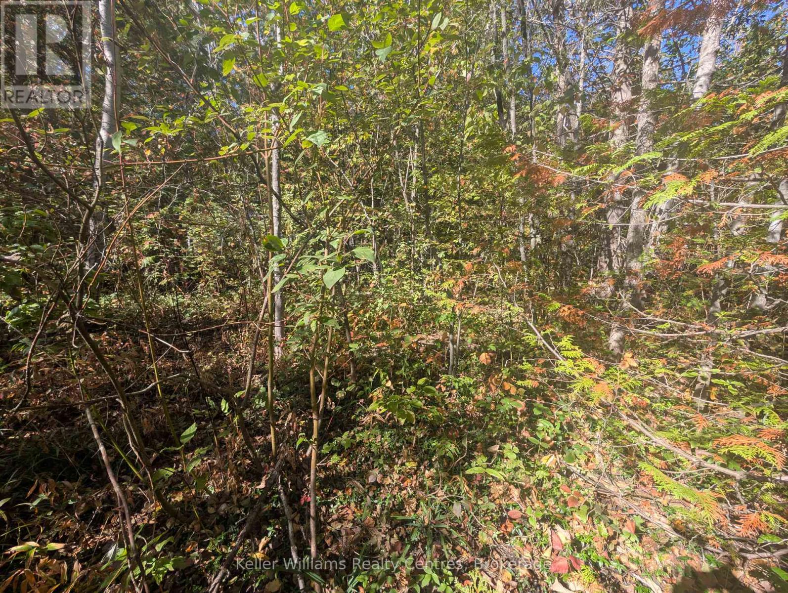 Lt 166 Mallory Beach Road, South Bruce Peninsula, Ontario  N0H 2T0 - Photo 14 - X12460985