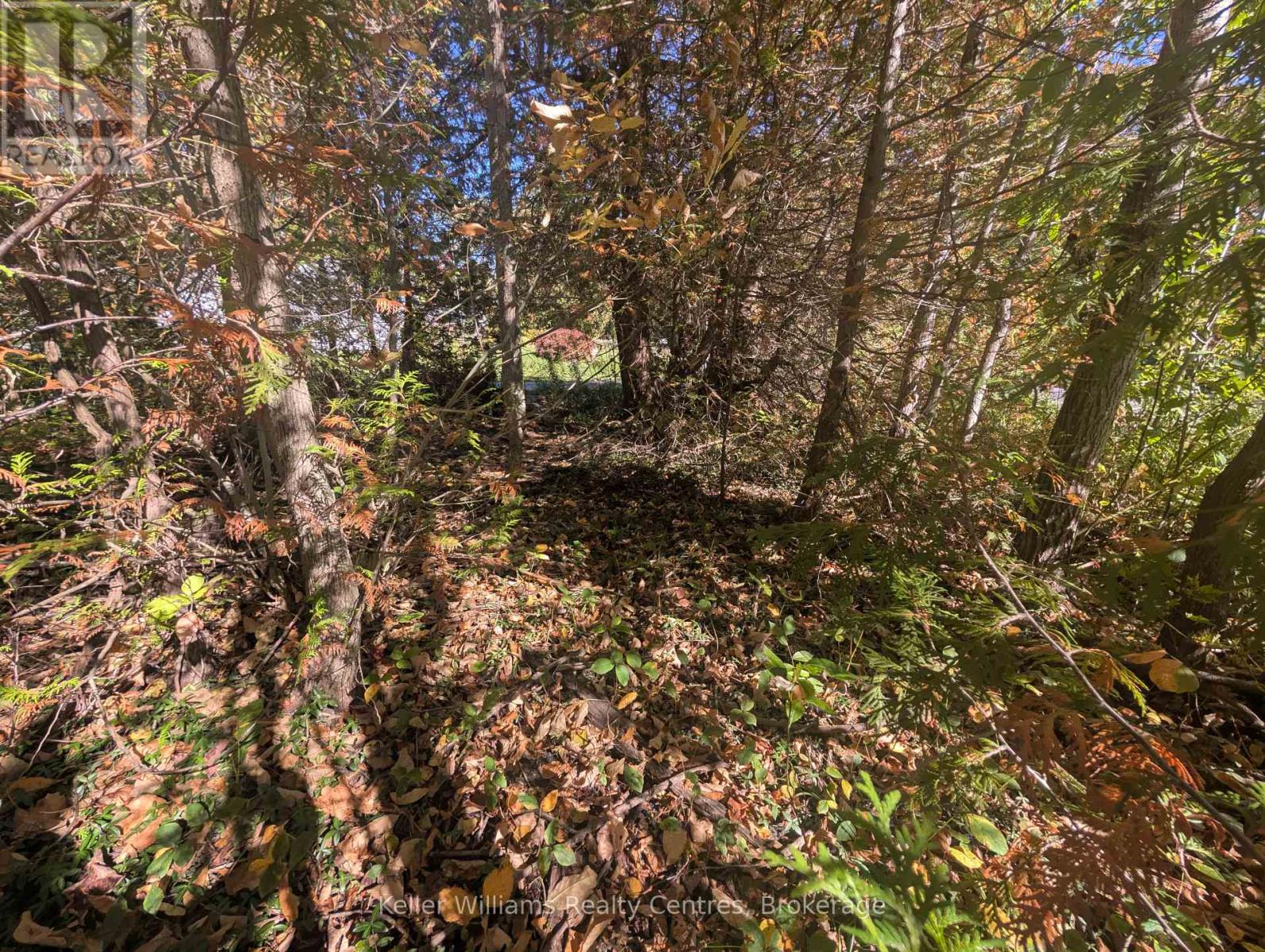 Lt 166 Mallory Beach Road, South Bruce Peninsula, Ontario  N0H 2T0 - Photo 8 - X12460985
