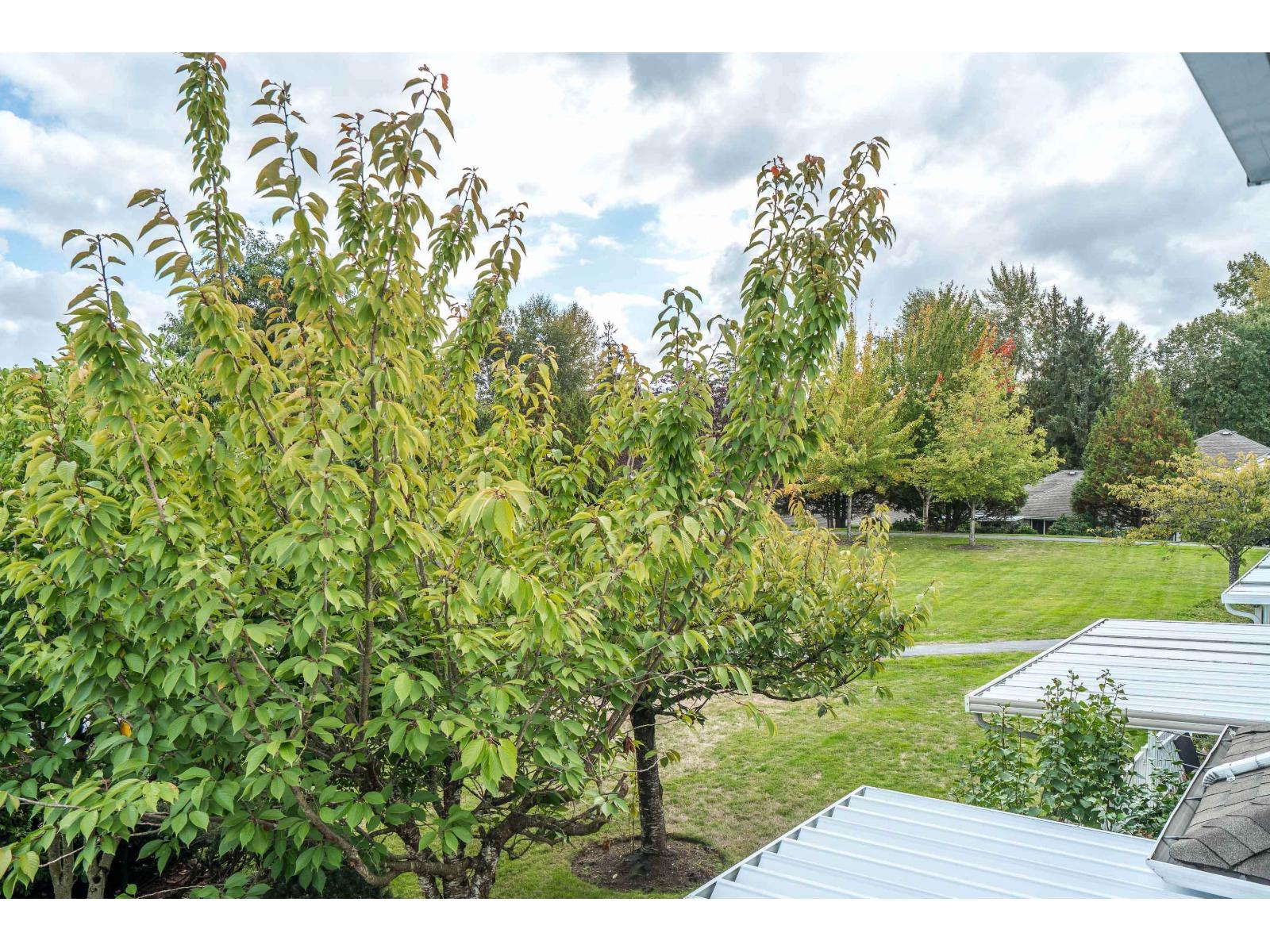 32 15020 66a Avenue, Surrey, British Columbia  V3S 2A5 - Photo 32 - R3057427
