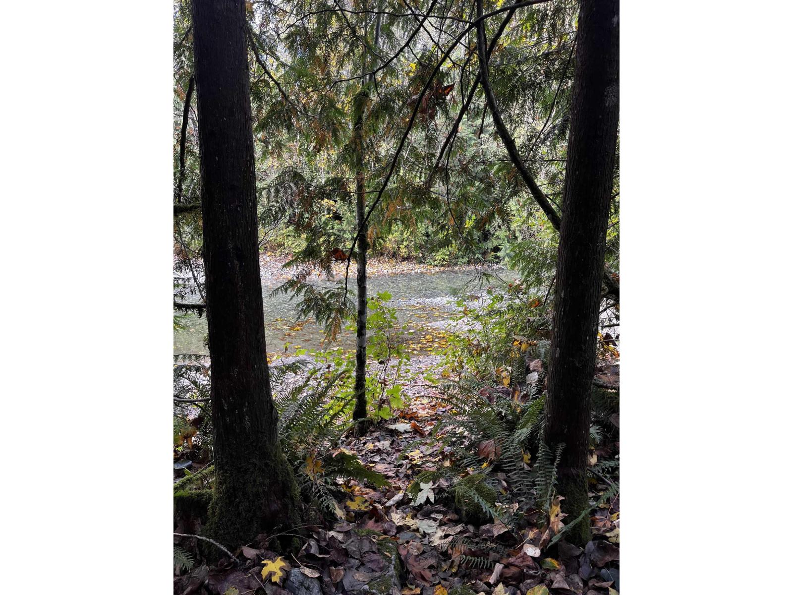 14350 Sylvester Road, Mission, British Columbia  V2V 4J1 - Photo 38 - R3057807