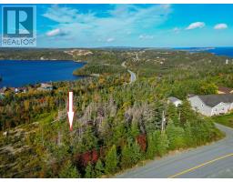 Lot 12 Burnt Cove Road, Tors Cove, Newfoundland & Labrador