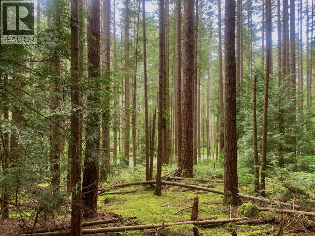 6237 Lund, Powell River, British Columbia  V8A 4T2 - Photo 34 - 18997