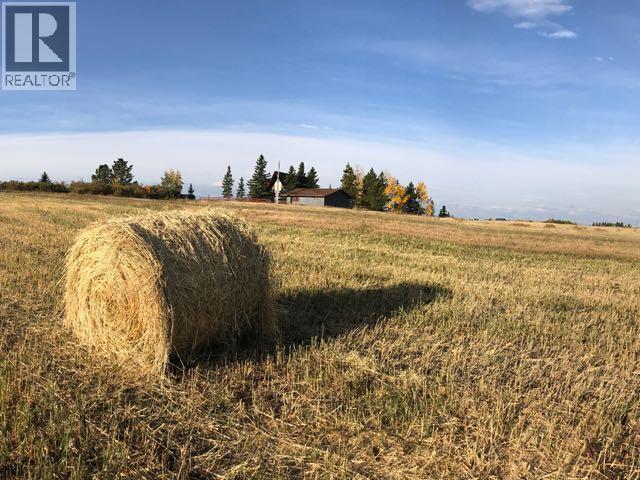 40091 Big Hill Road, Rural Rocky View County, Alberta  T4C 2W4 - Photo 41 - A2244850