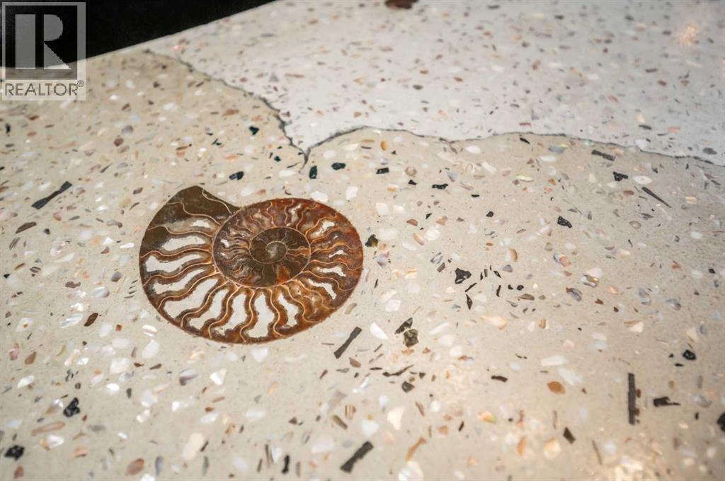 18 Cimarron Grove Bay, Okotoks, Alberta  T1S 2H3 - Photo 13 - A2260175